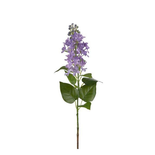 Hovedbilde Syrin lilla