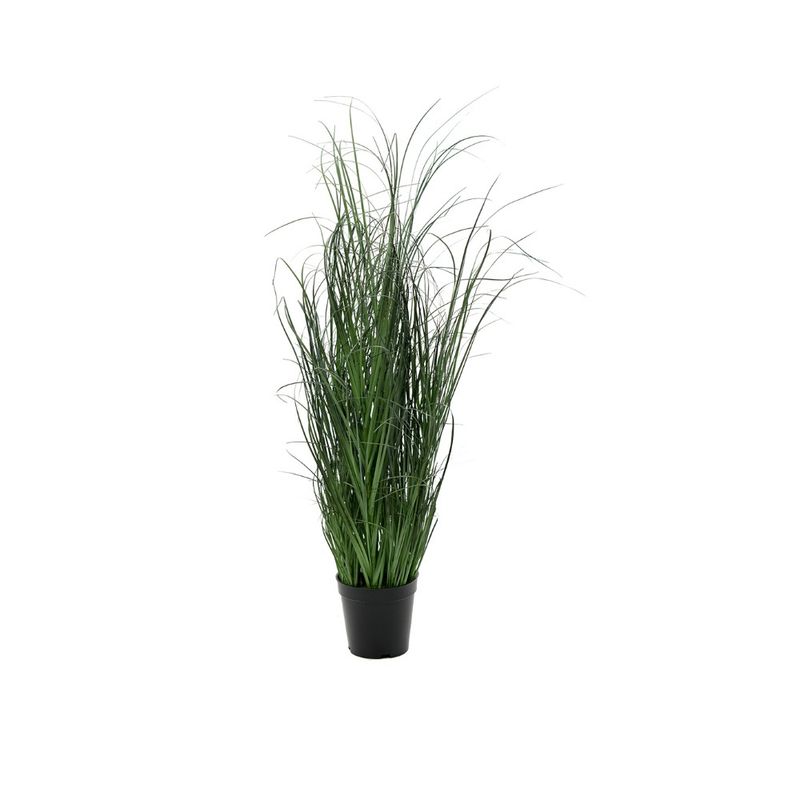 Mr. Plant Gressplante 80cm