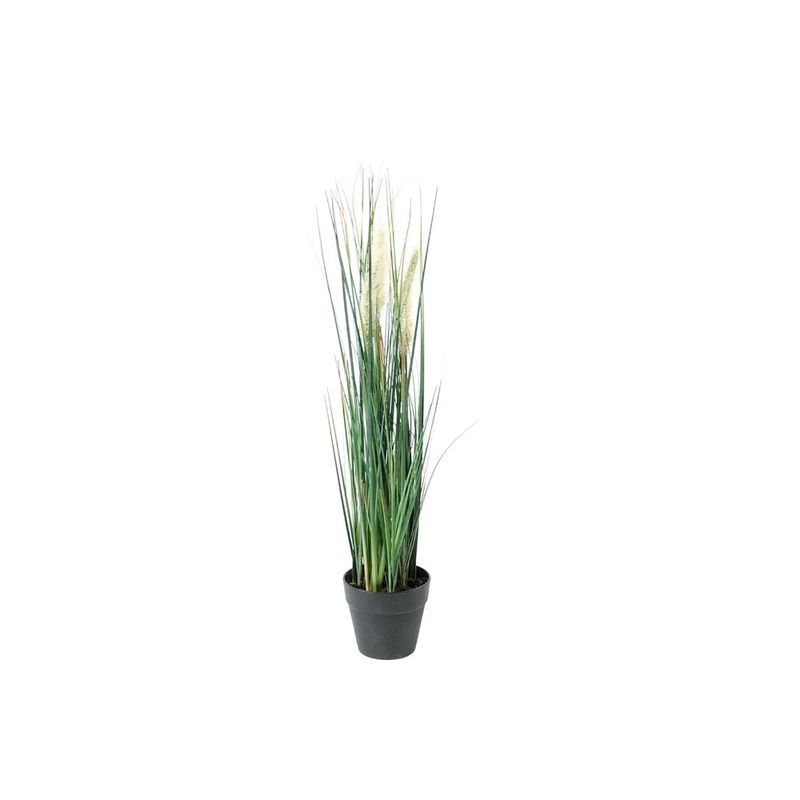 Mr. Plant Gressplante 50 cm