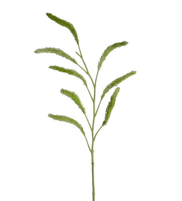 Mr.Plant Gress 110cm