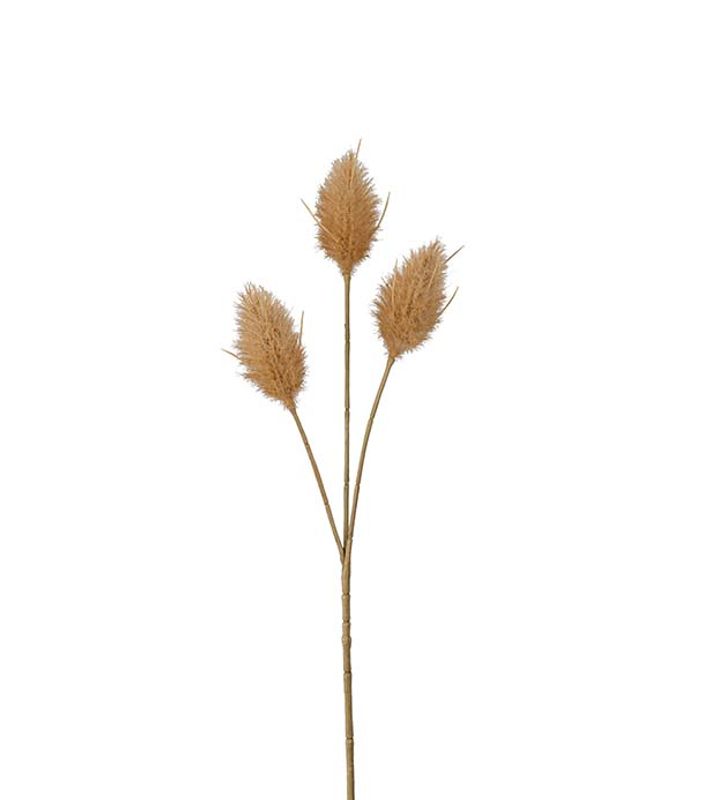 Harsvans beige