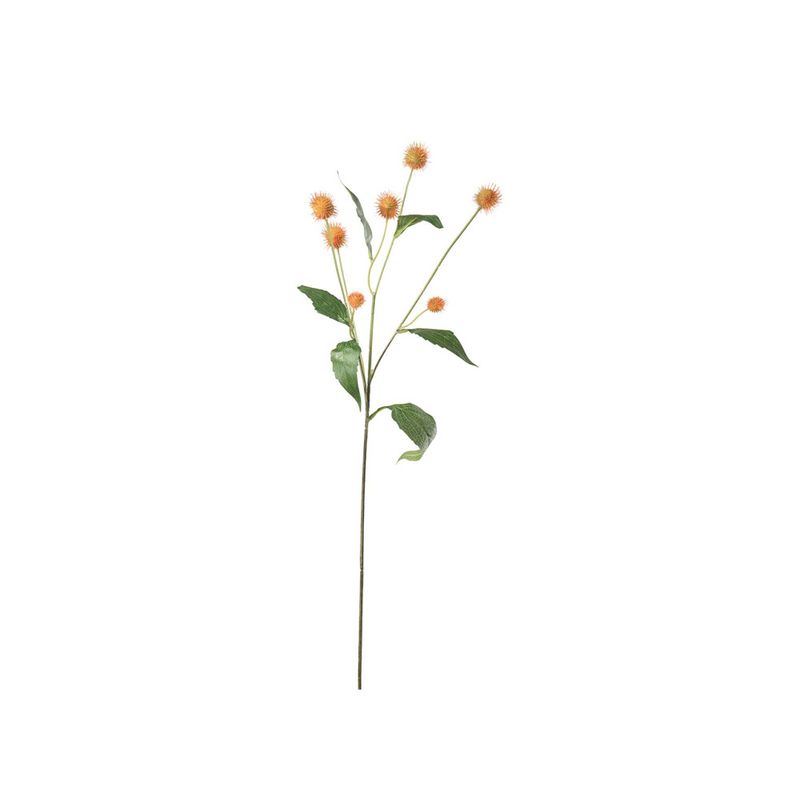 Mr. Plant Pensé